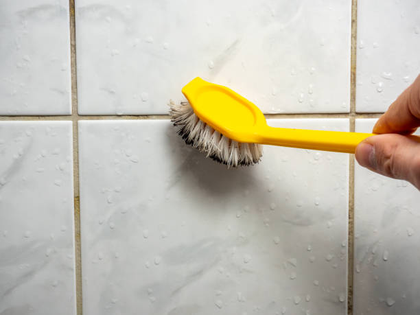 Best Same-Day Mold Removal  in Gowanda, NY