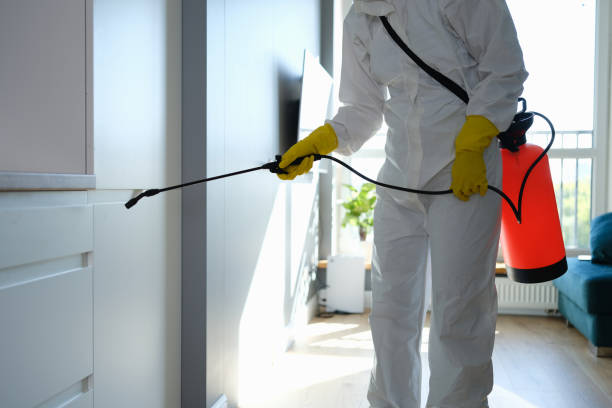 Best Office Mold Removal Services  in Gowanda, NY
